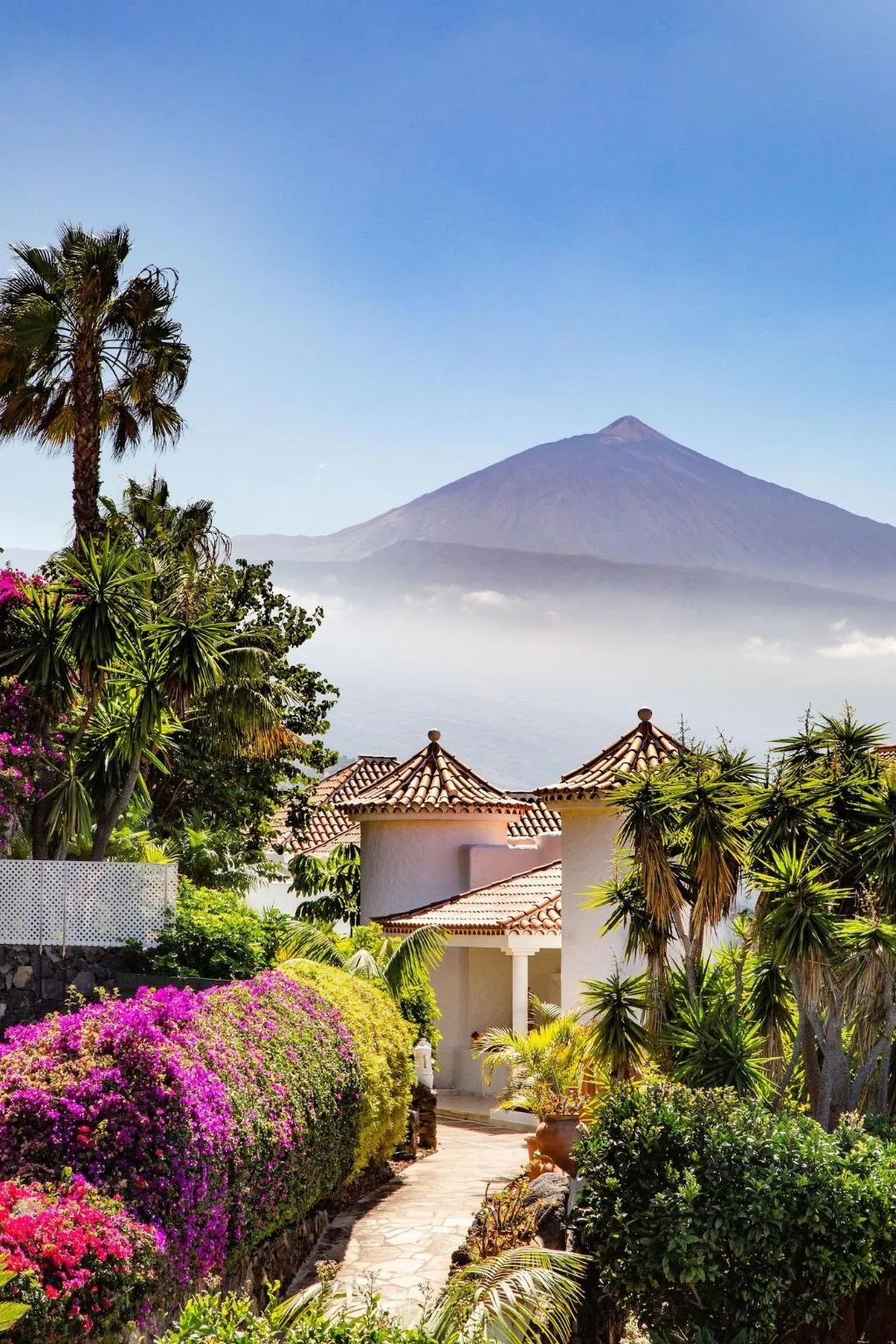Room, Jardin de la Paz, Tenerife