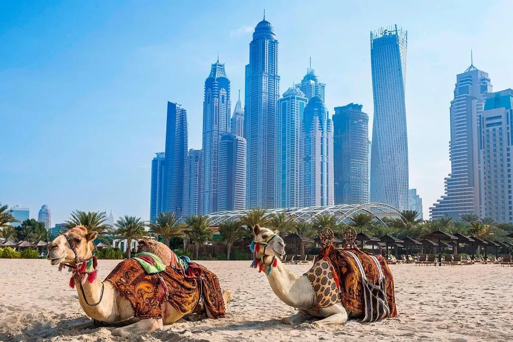 General view, Habtoor Grand Resort, Autograph Collection, Dubai