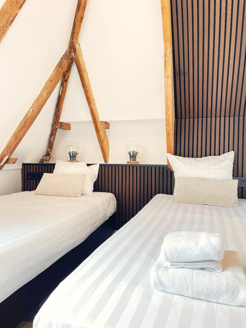 TWIN CLASSIC Room, Hotel Plantage, Amsterdam