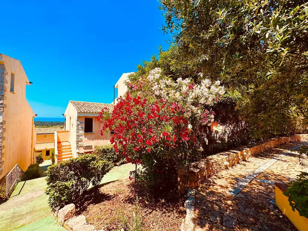 General view, Le Corti del Turchese Residence, Alghero