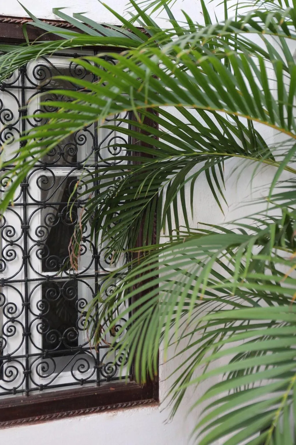 General view, Riad Noor Charana, Marrakech