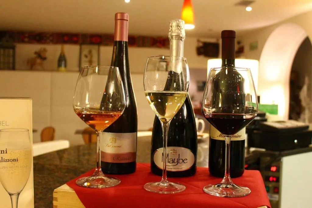 Bar, Alpen Hotel Eghel, Venice
