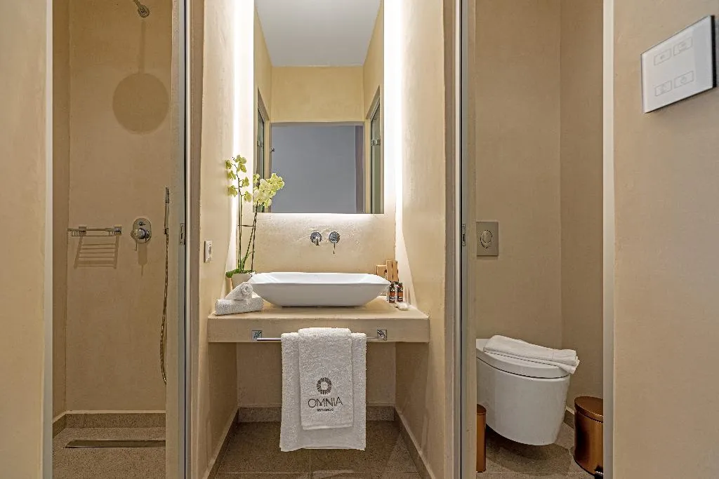 DOUBLE DELUXE WITH JACUZZI Room, Omnia Mykonos Boutique Hotel & Suites, Mykonos