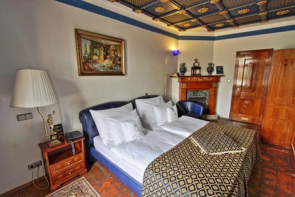 Room, U Pava, Prague
