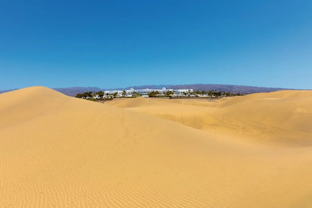 General view, Hotel Riu Palace Maspalomas - Adults Only, Gran Canaria