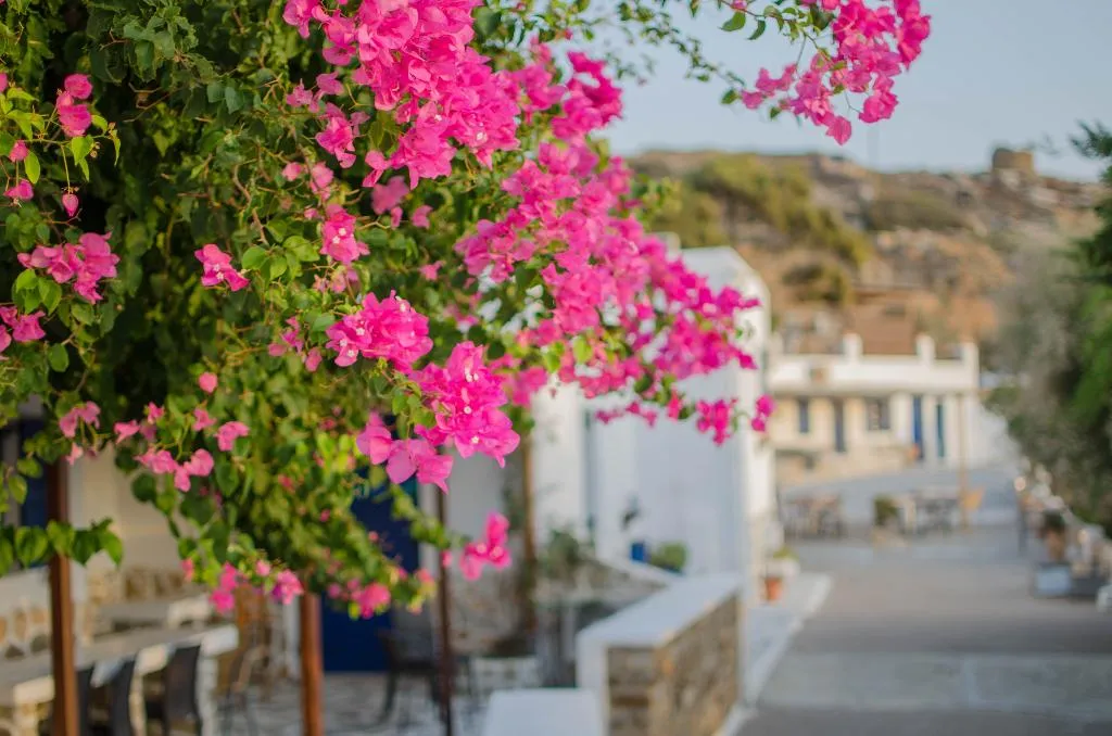 General view, Skala, Santorini