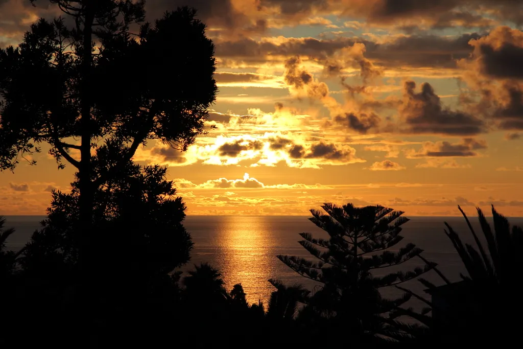 Terrace, Canico Bay Club, Madeira