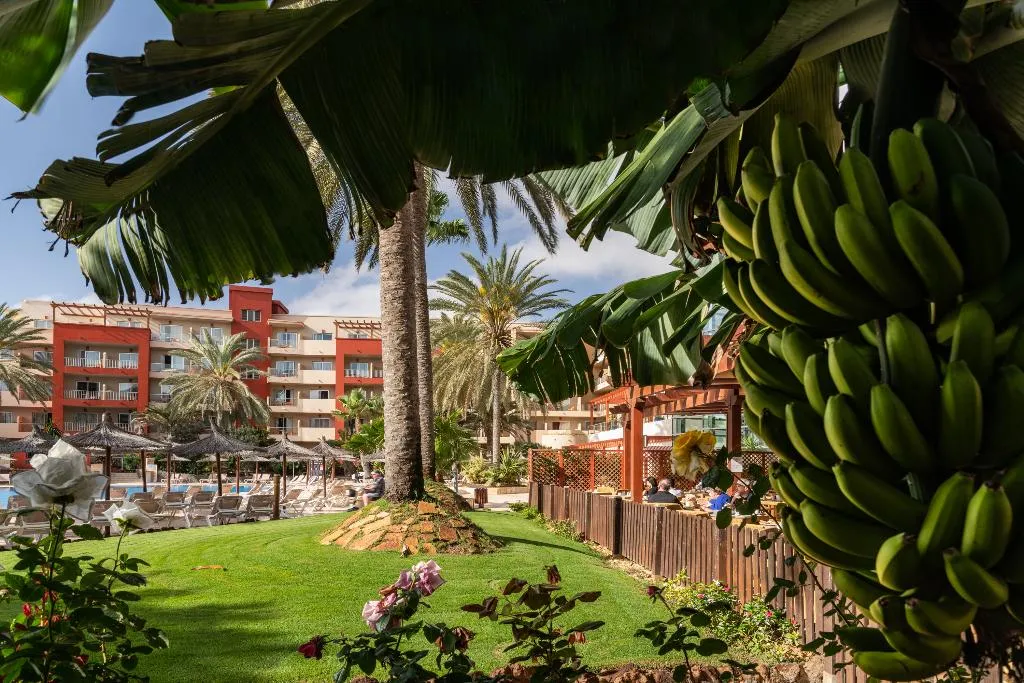 Pool, Elba Carlota Beach & Golf Resort, Fuerteventura