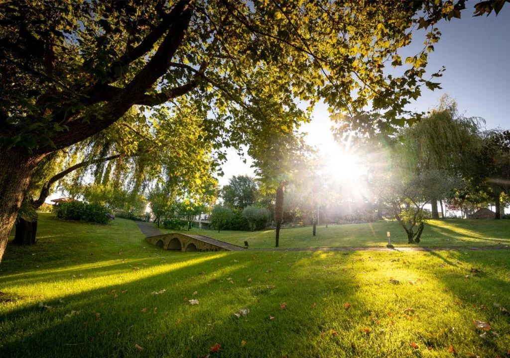 General view, Olive Nature Hotel & SPA - Quinta Valle de Passos, Porto