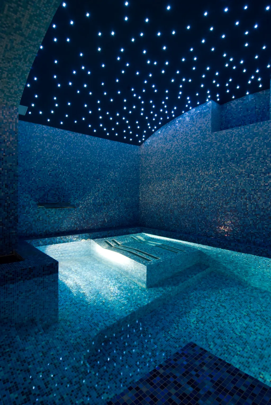 Pool, Gallery Park Hotel & SPA, Riga