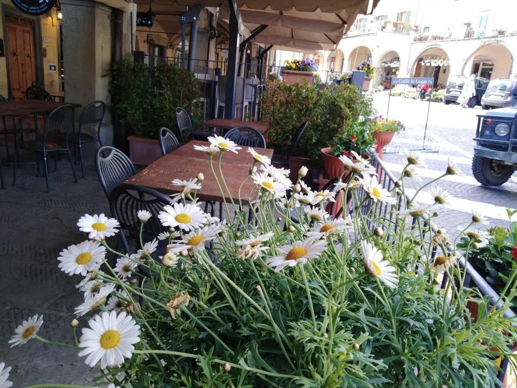 Restaurant, Giovanni da Verrazzano, Florence