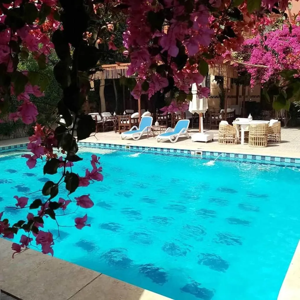 Sports and Entertainment, Nile Compound Hotel, Luxor
