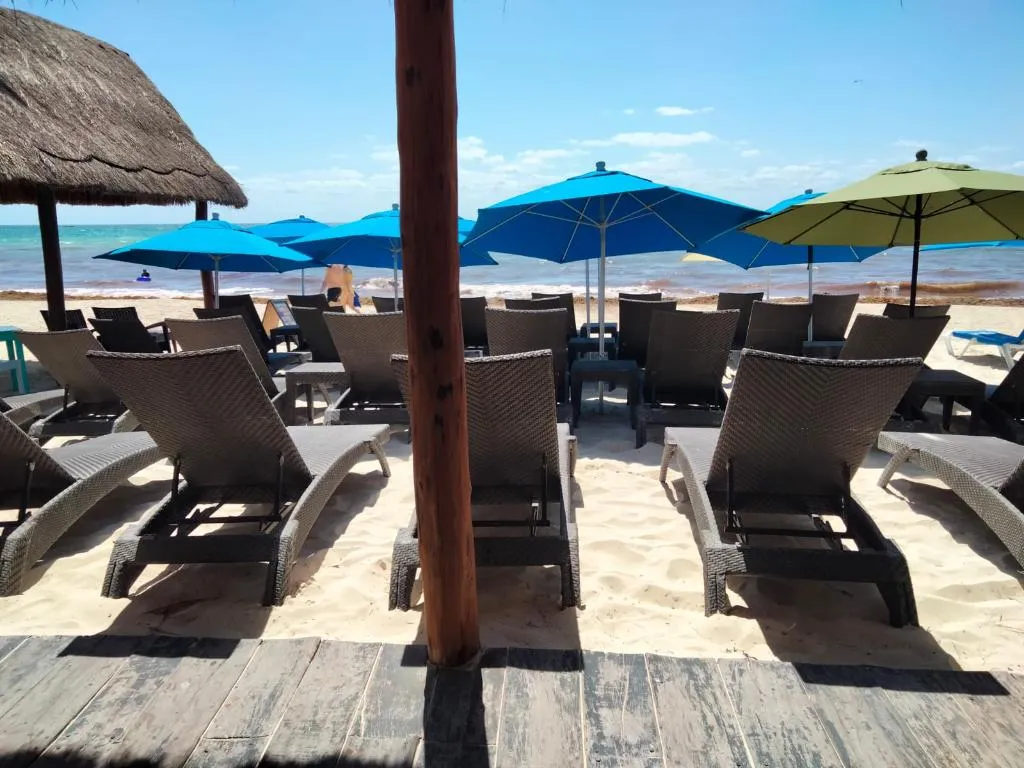 Beach, Playa Maya by MIJ, Playa Del Carmen