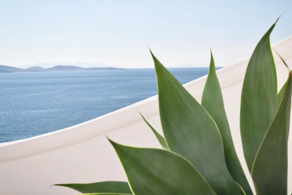 General view, Anax Resort And Spa, Mykonos