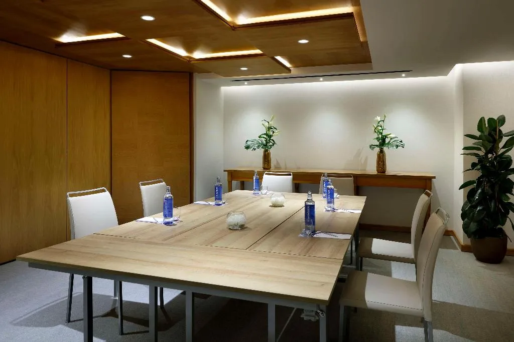 Conferences, Hyatt Regency Hesperia Madrid, Madrid