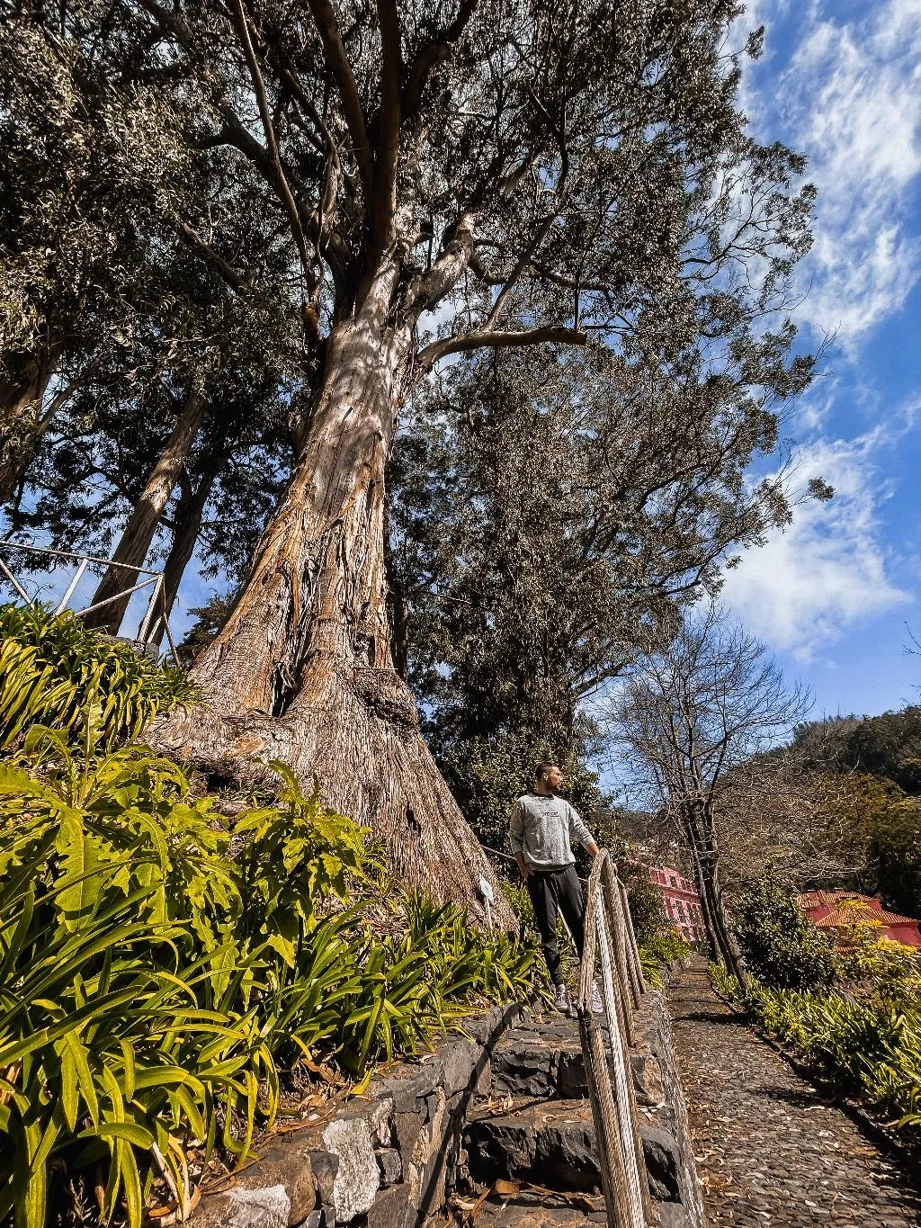 General view, Hotel Quinta da Serra - Bio Hotel, Madeira