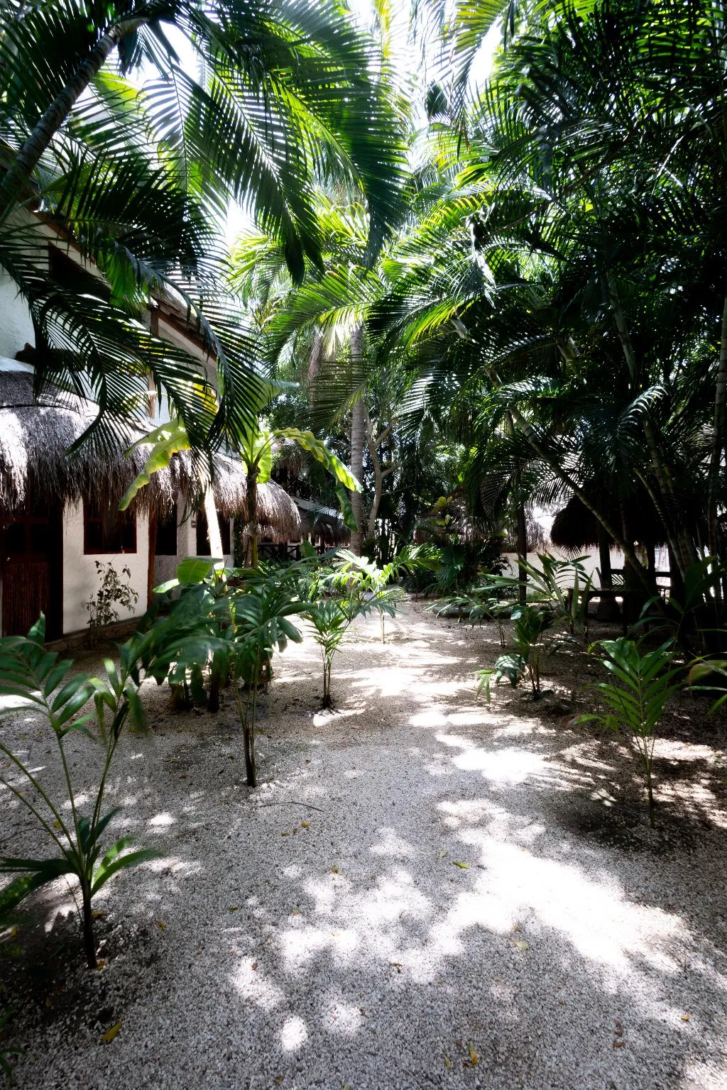 General view, Hotel Casa Barbara Holbox, Cancun Area