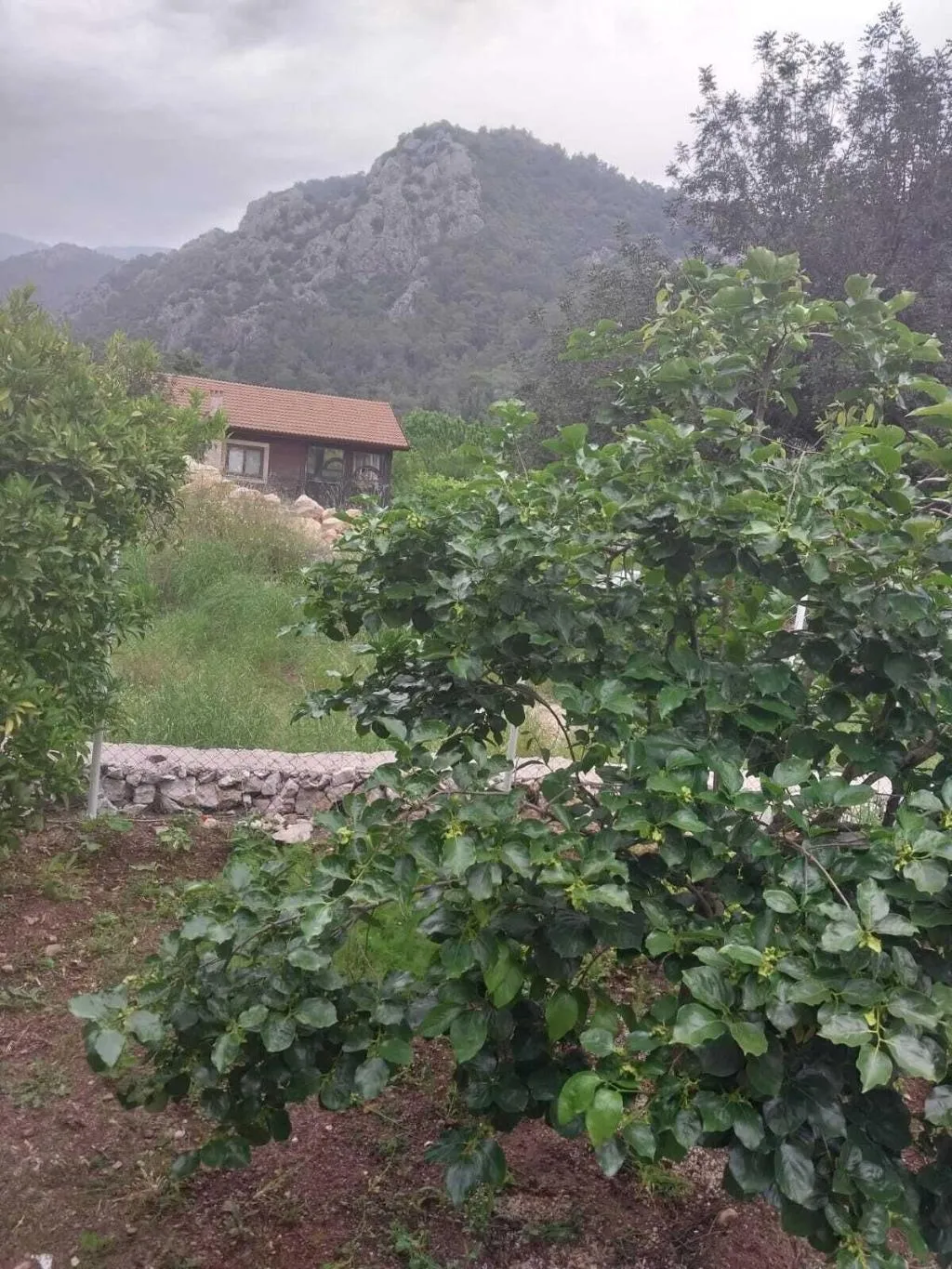 General view, Village Garden Pansiyon, Antalya