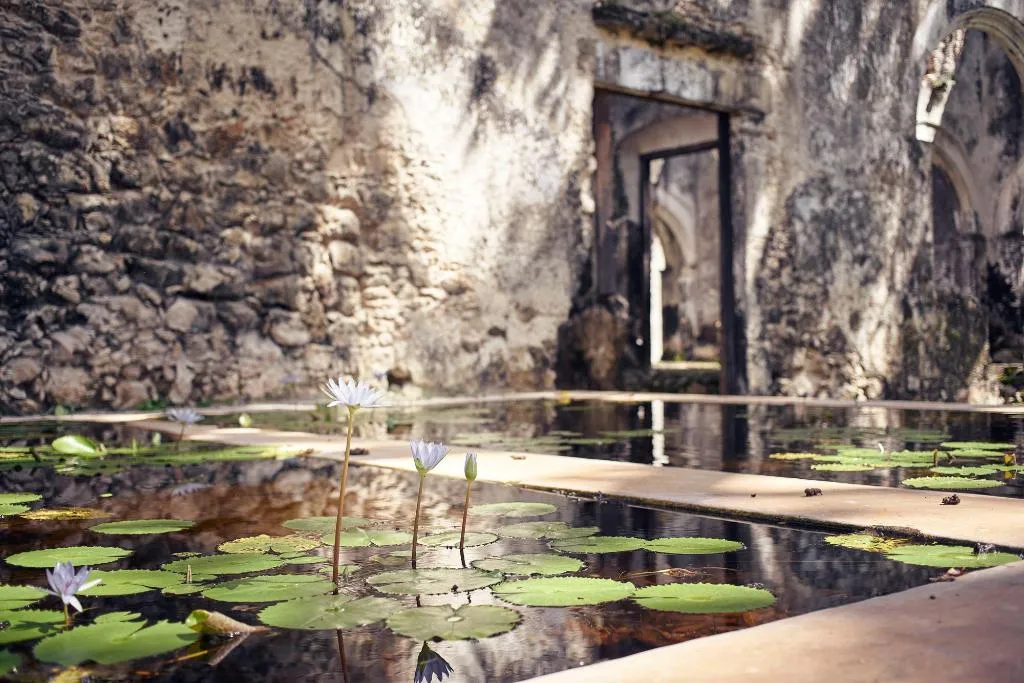 General view, Hacienda Uayamon, Cancun Area