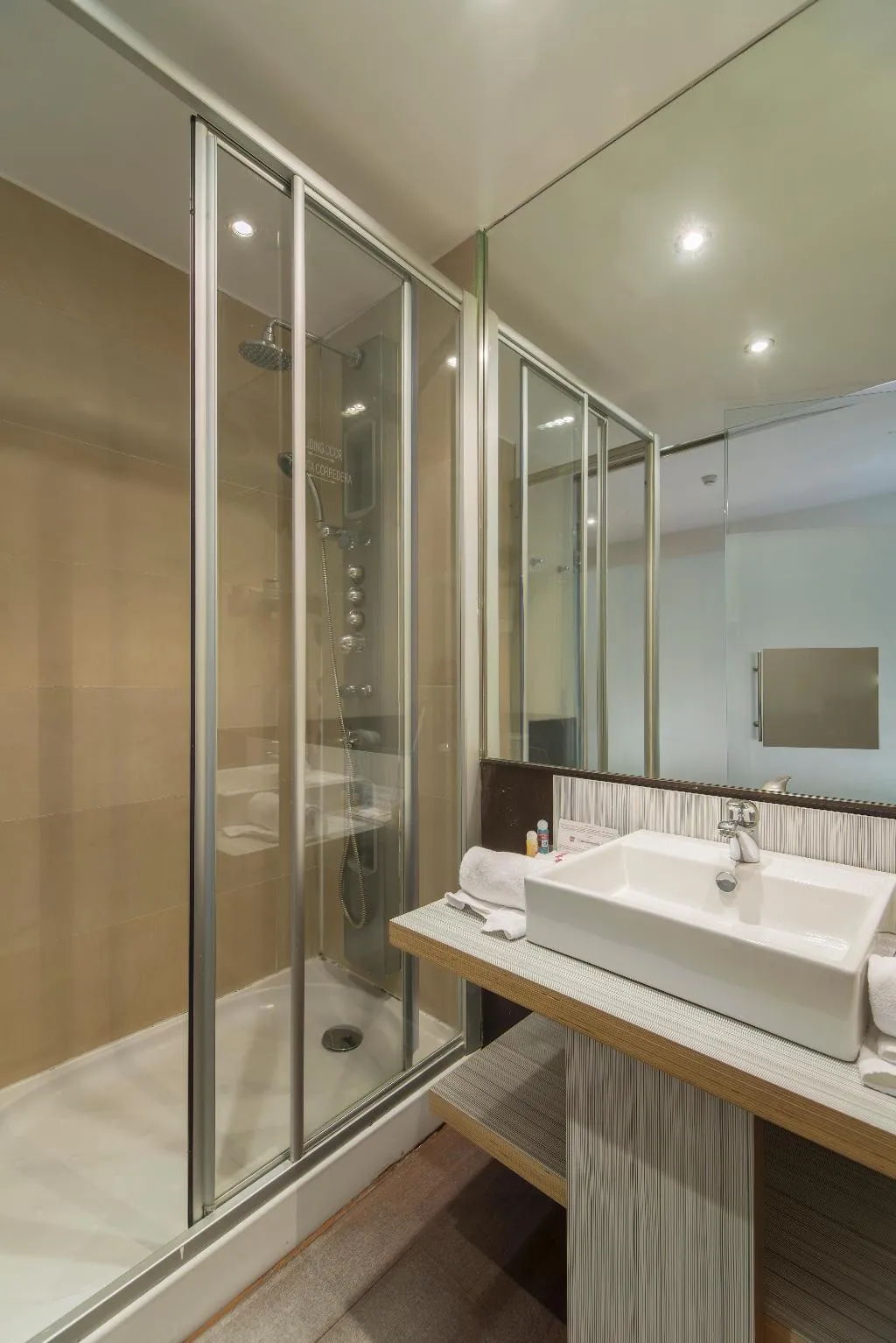 DOUBLE SINGLE USE STANDARD Room, Petit Palace Arenal, Madrid
