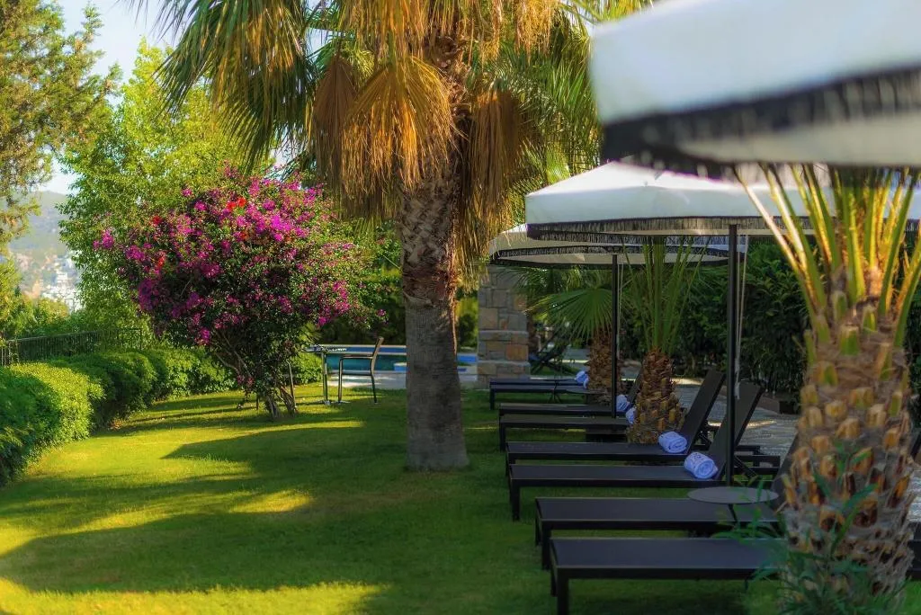 Terrace, Manastir, Bodrum