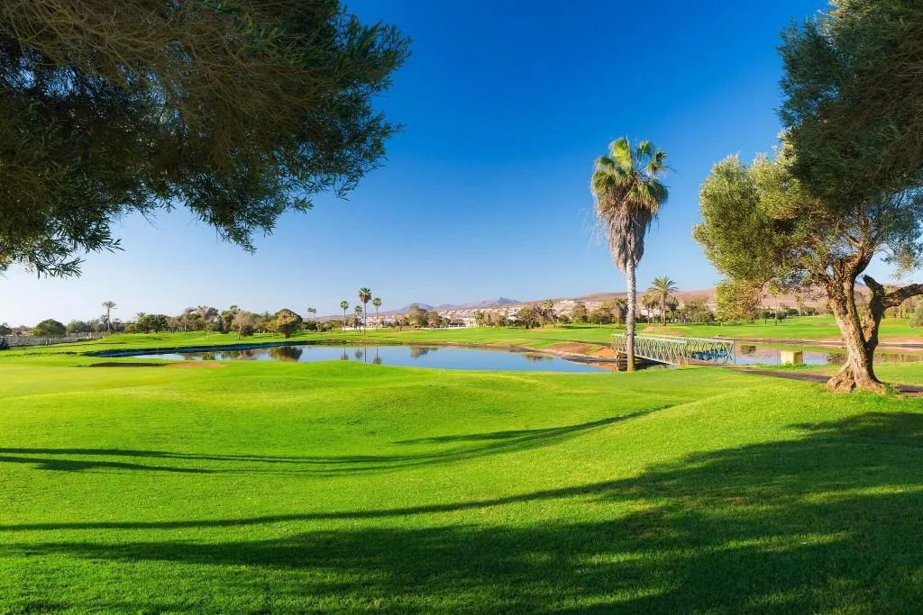 Sports and Entertainment, Sheraton Fuerteventura Beach, Golf & Spa Resort, Fuerteventura