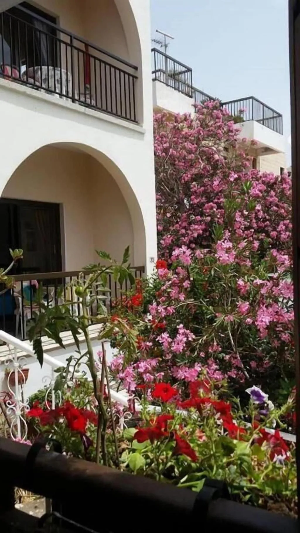 Room, Myriama Apartments, Cyprus