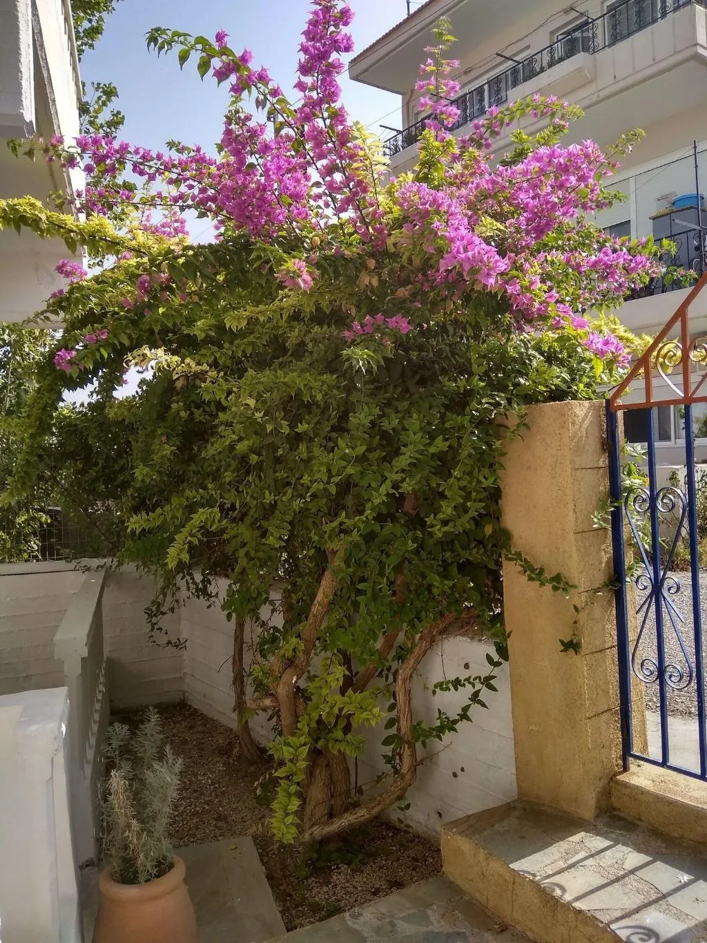 Terrace, Panorama Genadi, Rhodes