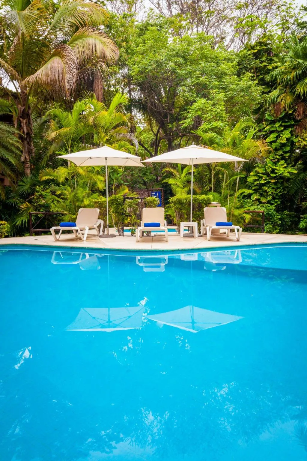 Pool, Tukan Hotel Playa del Carmen, Playa Del Carmen