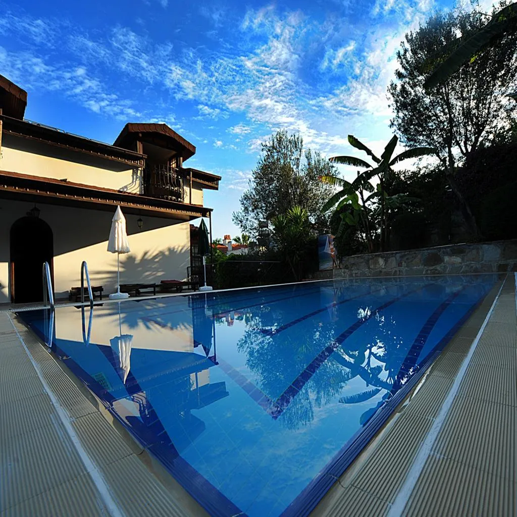 Pool, Villa Daffodil, Dalaman