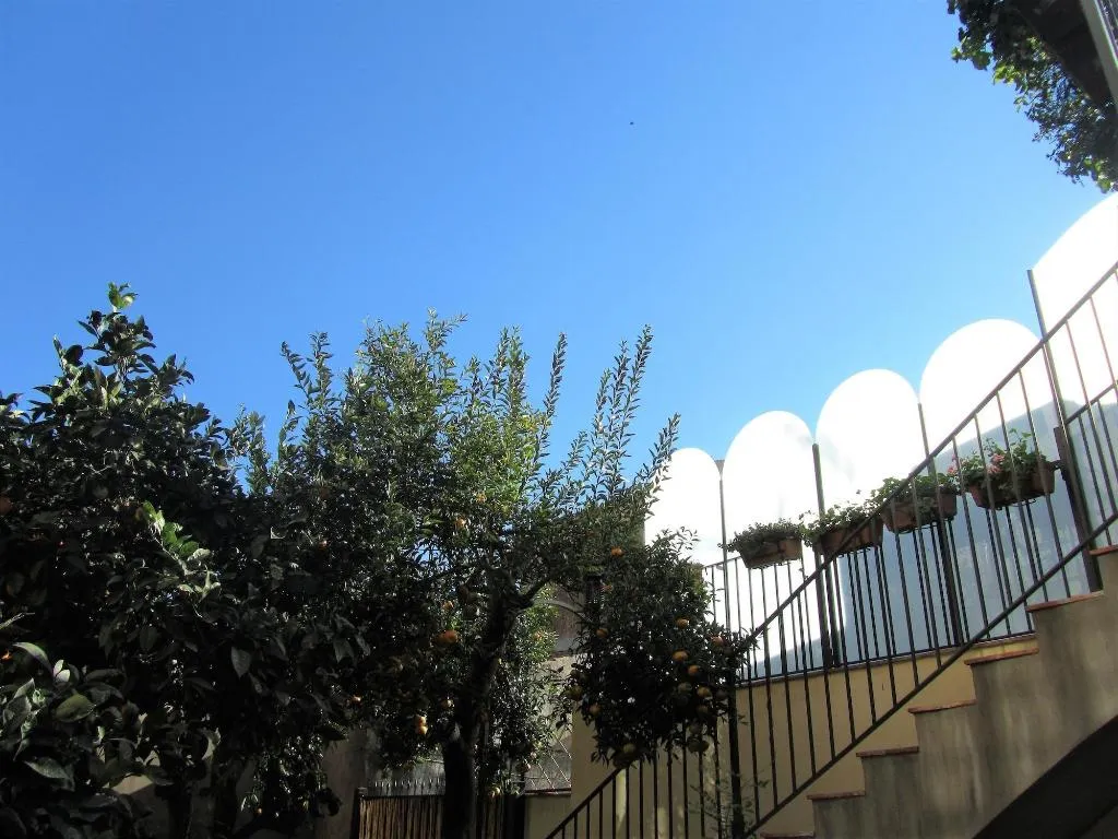 General view, La Corte Dei Limoni, Catania