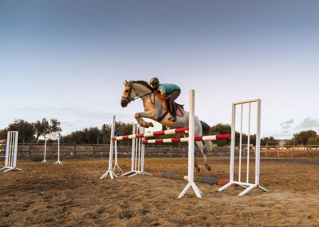 Sports and Entertainment, Sentido Phenicia, Tunisia