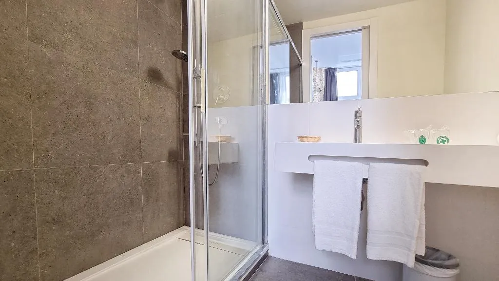 DOUBLE SINGLE USE STANDARD Room, Hotel Sant Agusti, Barcelona