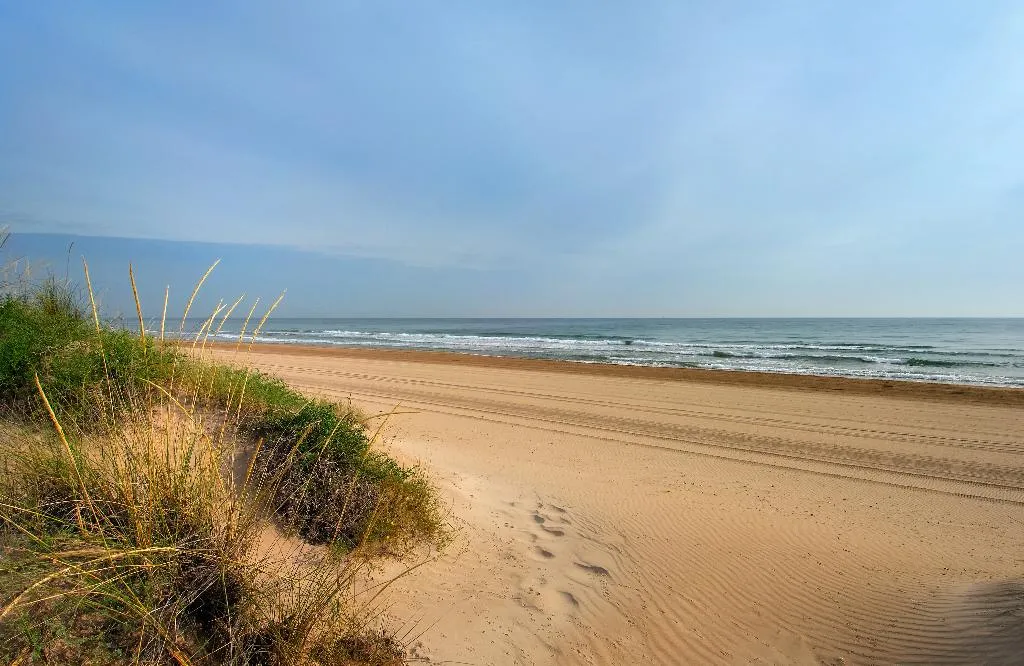Beach, Oliva Nova Beach & Golf Hotel, Fuerteventura