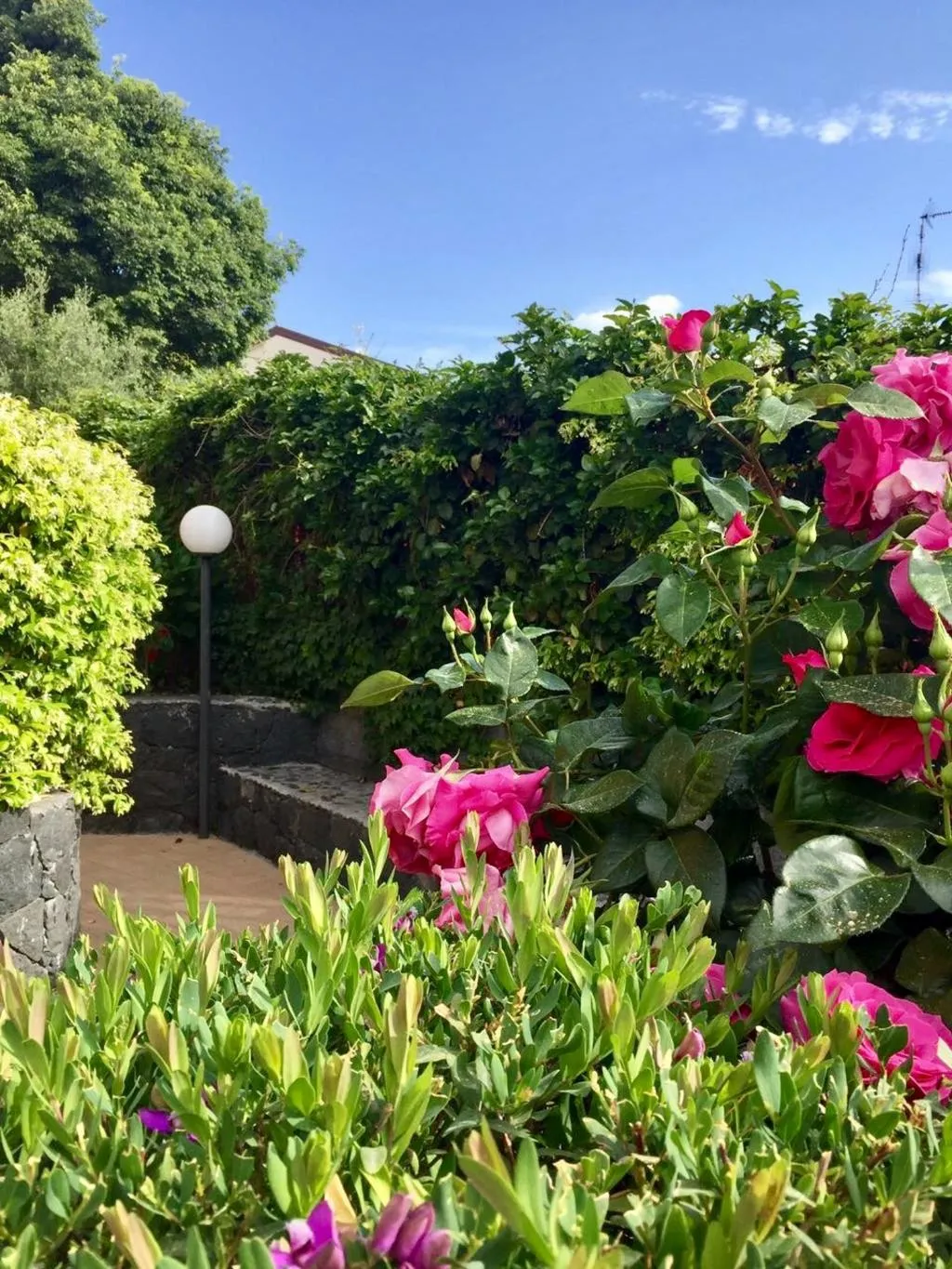 APARTMENT GARDEN VIEW Room, Etna Royal View, Catania