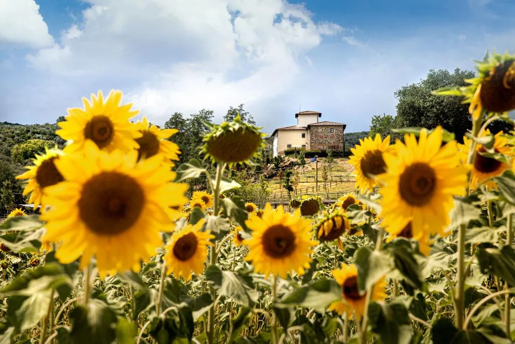General view, Agriturismo Fattoria La Palagina, Florence