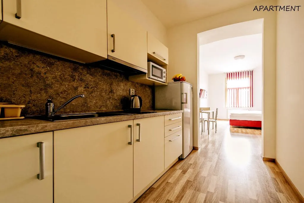 APARTMENT CAPACITY 3 ONE BEDROOM Room, Otakar, Prague