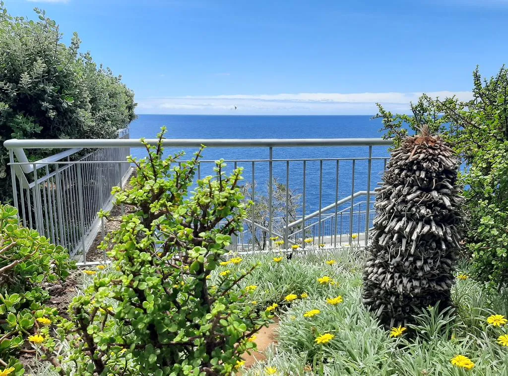 General view, Hotel Roca Mar, Madeira