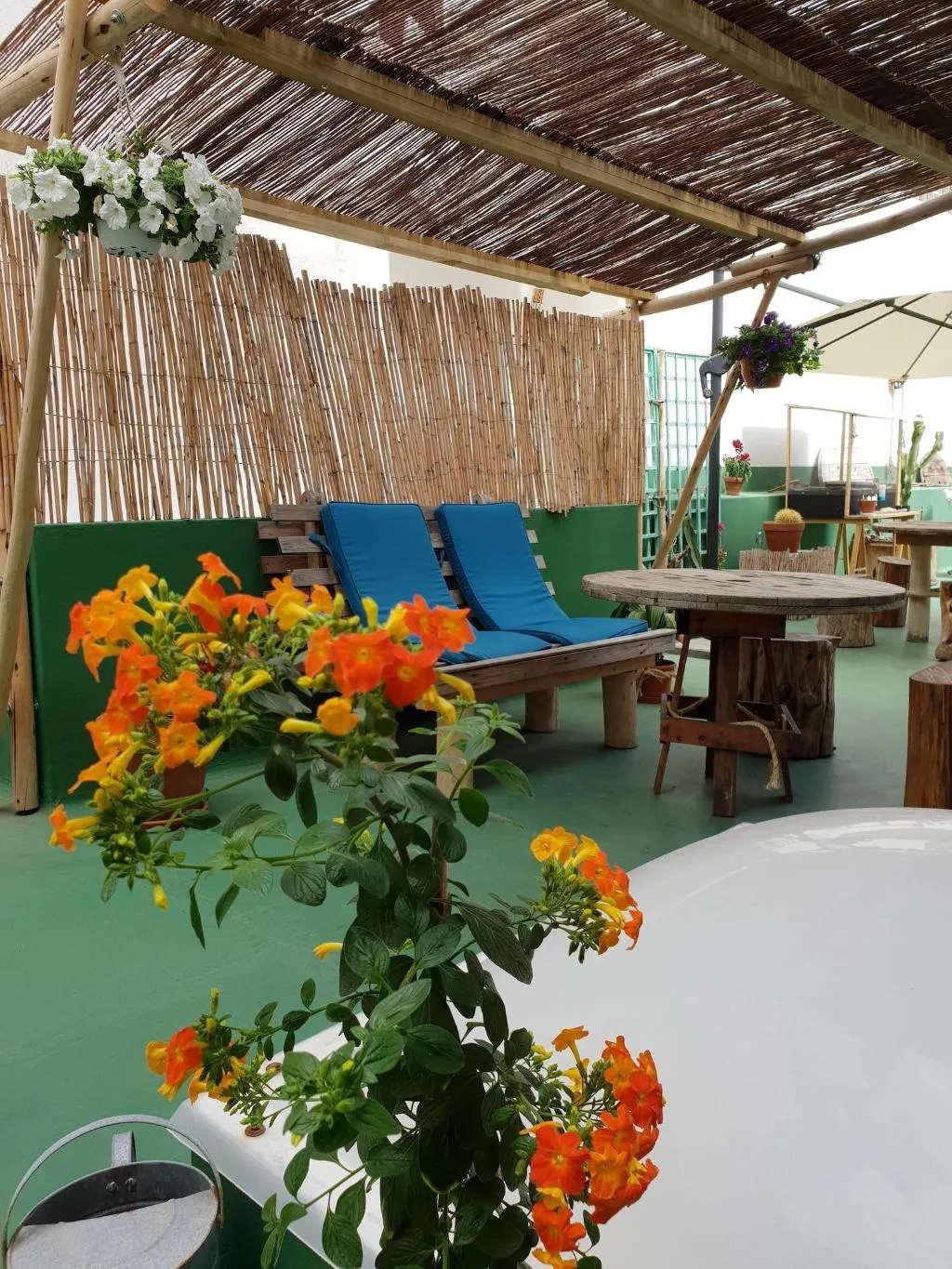Terrace, Cactus Host, Gran Canaria
