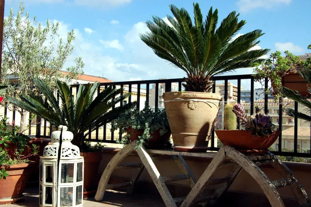 Terrace, B&B Portatenea, Catania