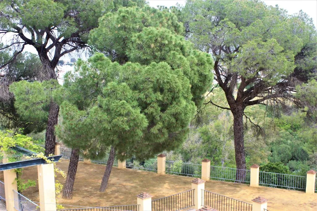 Terrace, Legado Oromana, Andalucia