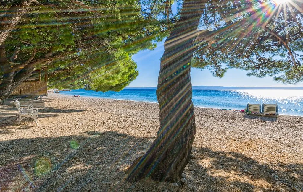 Beach, Bluesun Hotel Alga, Split