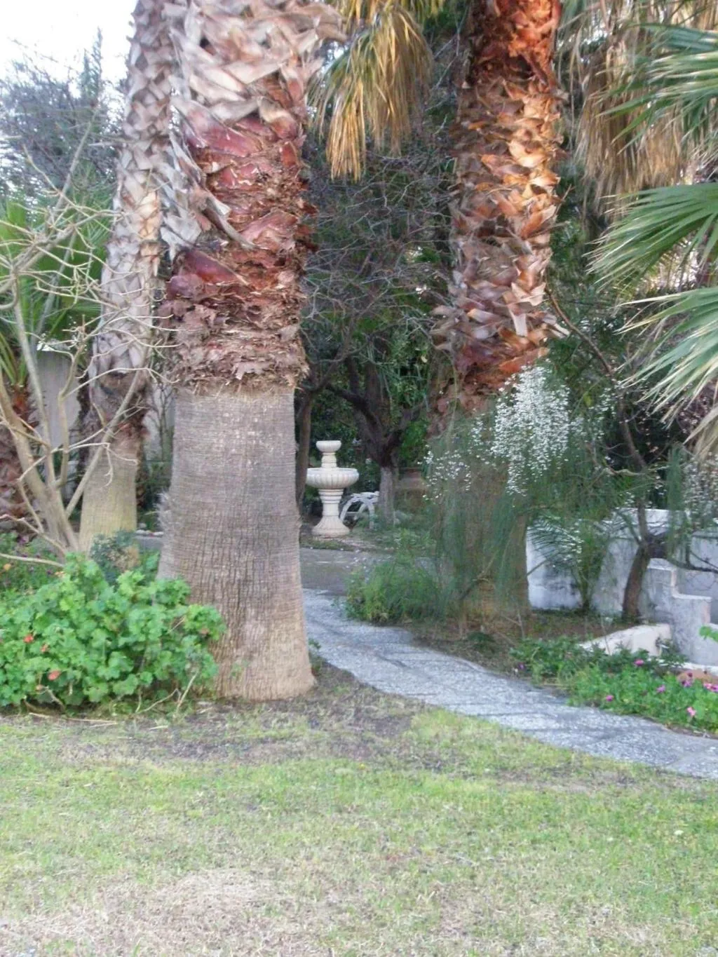 General view, Dolphin Apartments, Rhodes