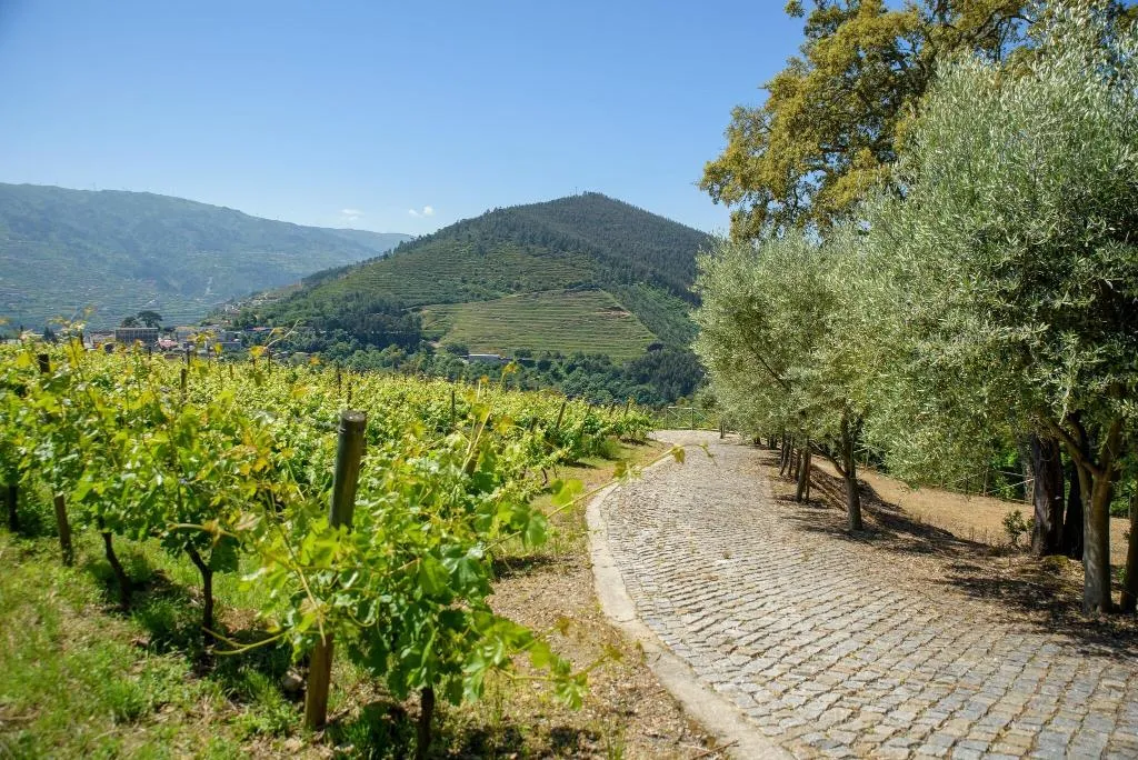 General view, Quinta Do Bosque, Porto