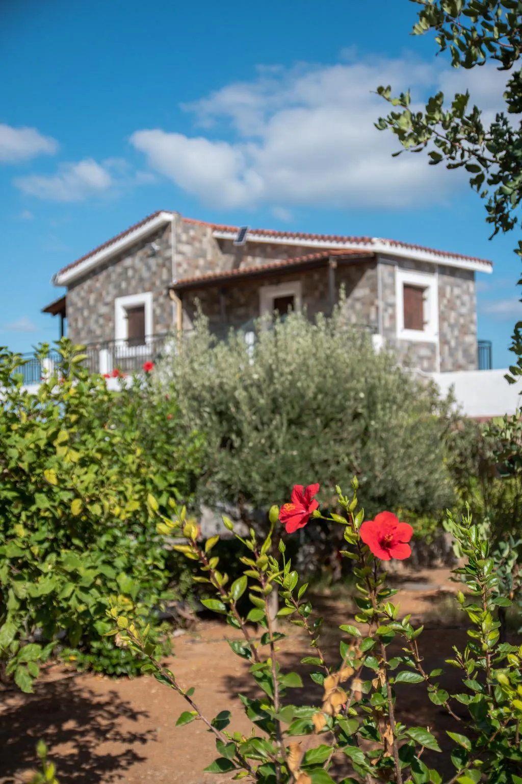 Terrace, Villa Medusa, Crete