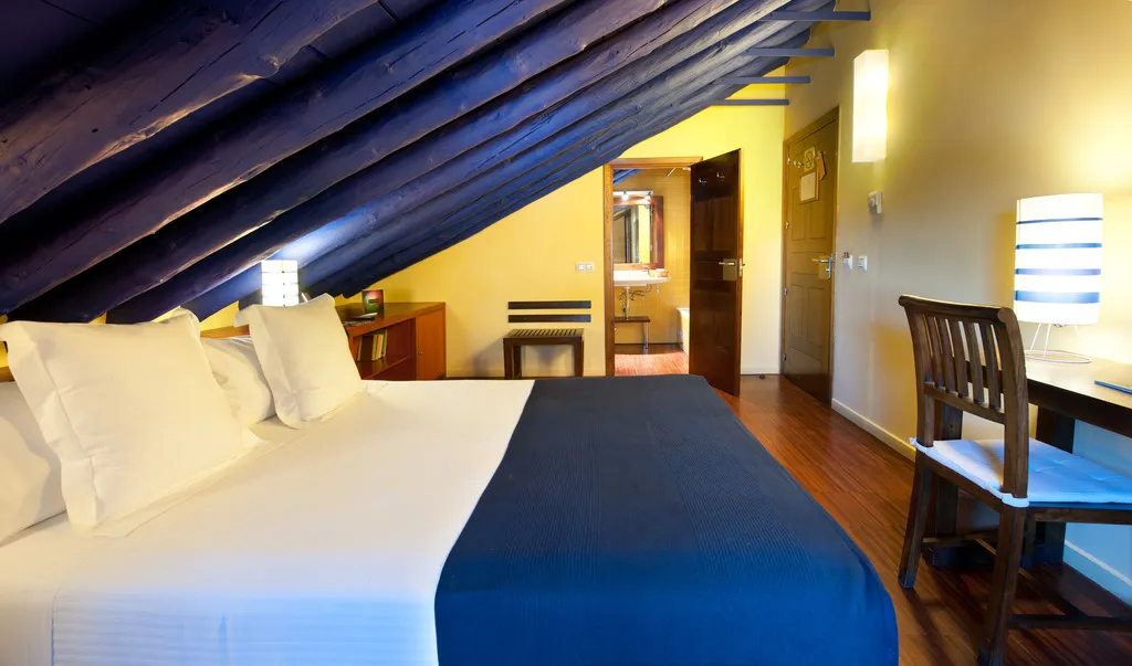 DOUBLE SINGLE USE STANDARD Room, Abad Toledo, Madrid
