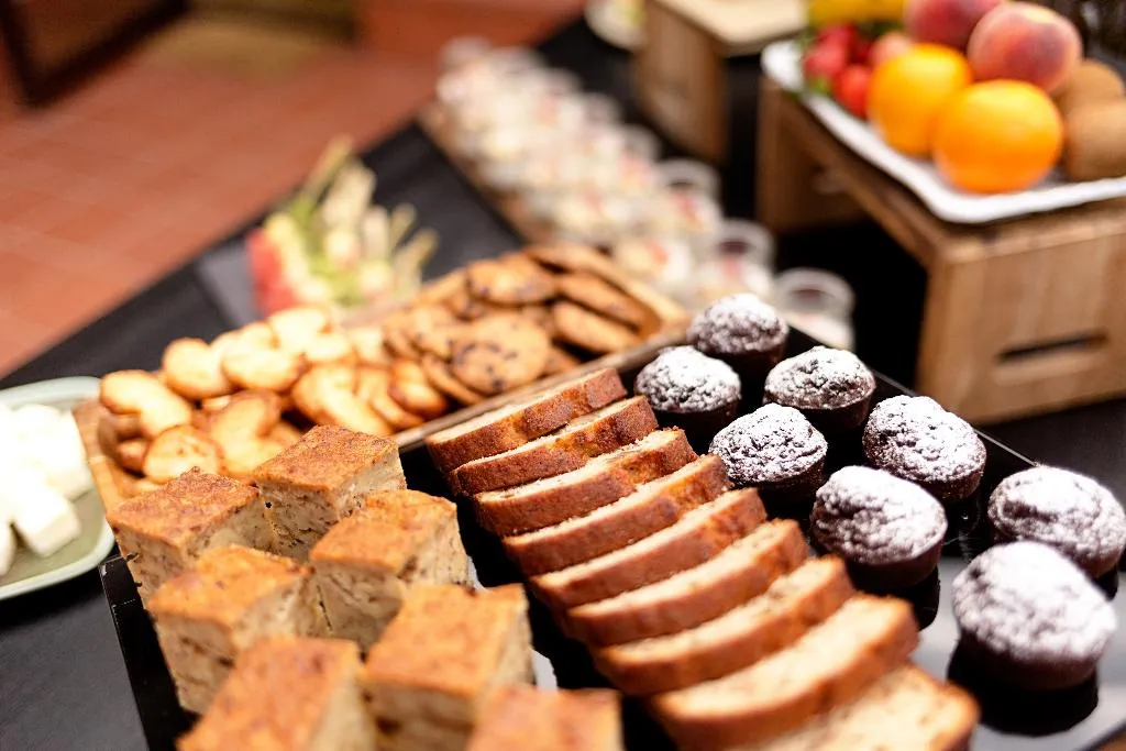 Conferences, Hotel Mas Salagros EcoResort & Aire Ancient Baths, Barcelona