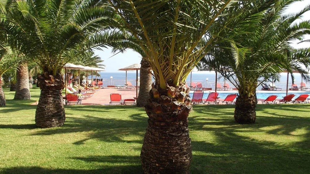 Pool, Europa Resort Hotel, Crete