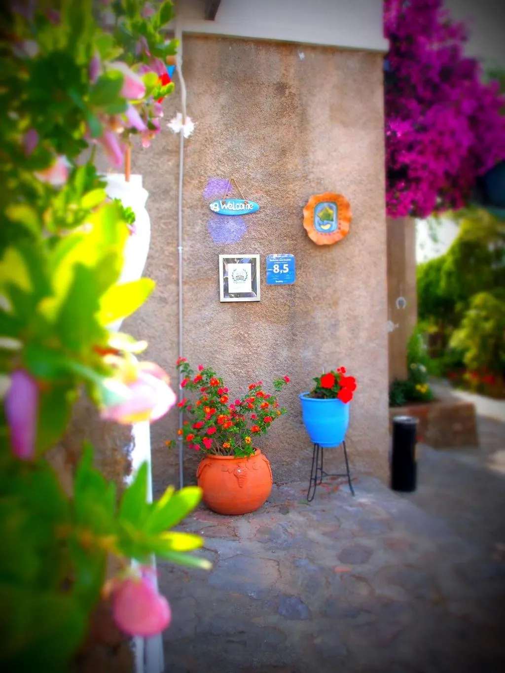 Terrace, Panorama Hotel Bodrum, Bodrum