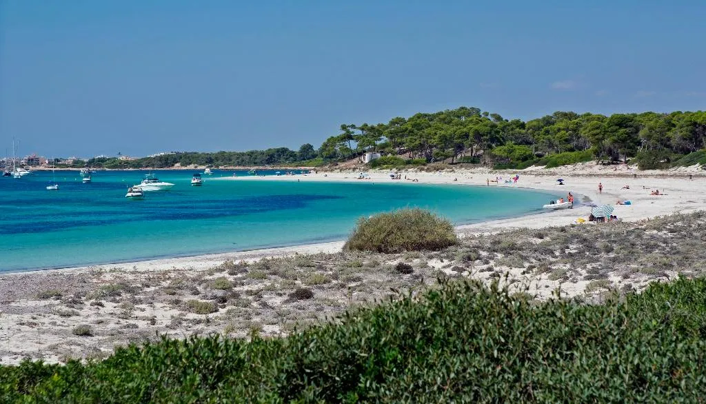 Beach, Aparthotel Isla de Cabrera, Majorca